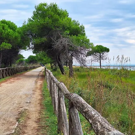 Comfy Flat 200mt From The Beach-beahost Μπιμπιόνε